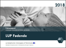 Billede af rapportens forside