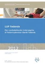 Billede af rapportens forside