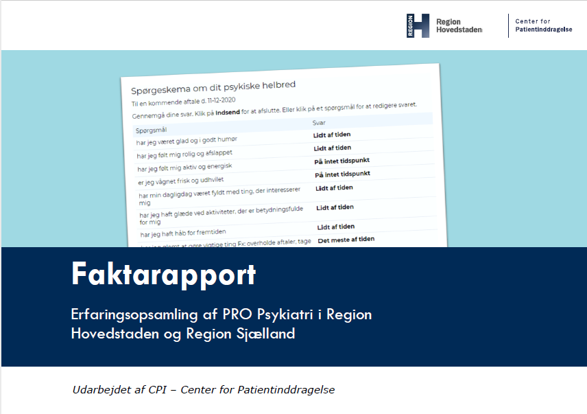 Billede af rapportens forside