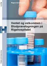 Billede af rapportens forside