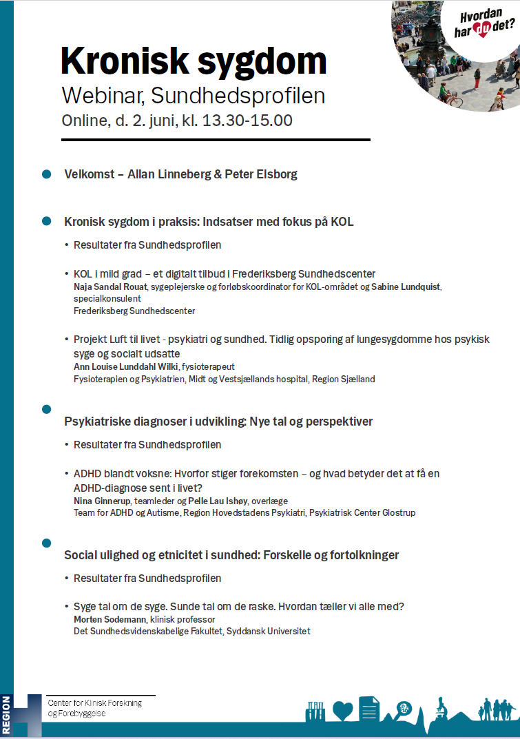 Program for webinaret 2. juni 2026